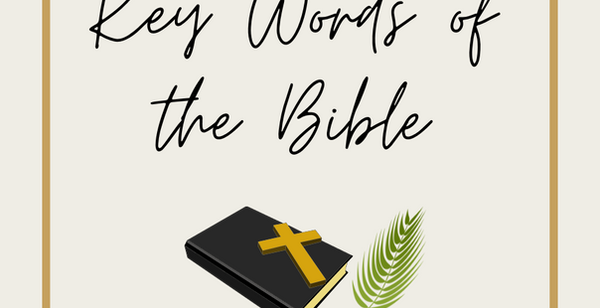 What's the Bible About 12-06-23